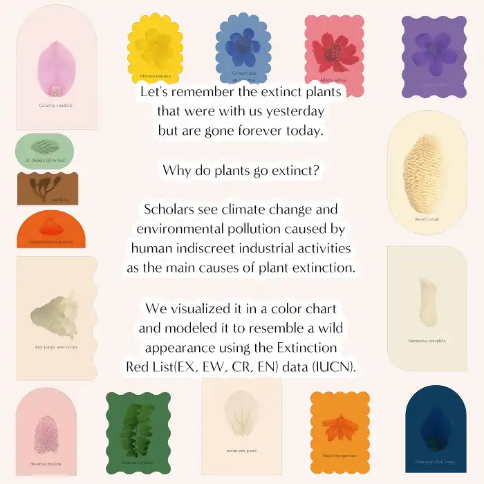 Buy Organic Wedding Menu Card - Soft Die-Cut Paper Pieces - OddPlanPrint